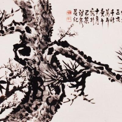 Pines series 蒼松系列
